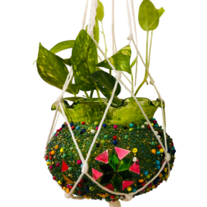 Plant hanging jar