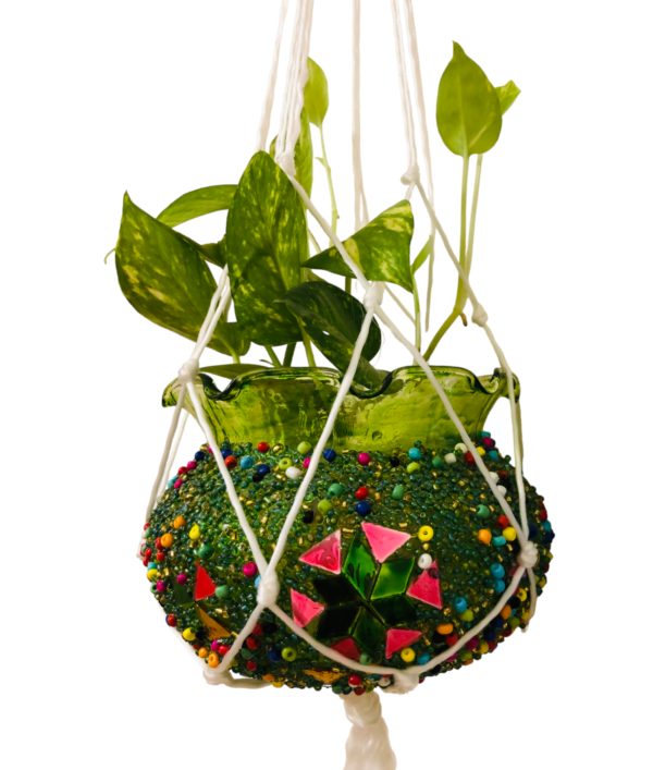 Plant hanging jar